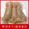 【海鲜】鲜活虾菇 250g/份 商品缩略图1