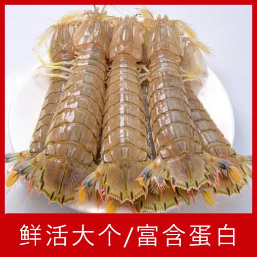 【海鲜】鲜活虾菇 250g/份 商品图1