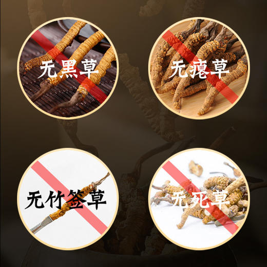 雷允上冻干冬虫夏草1g/瓶（-50） 商品图3