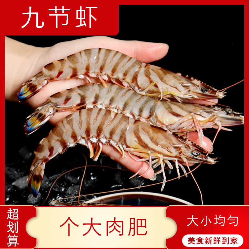 【海鲜】鲜活九节虾 250g/份