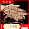 【海鲜】鲜活九节虾 250g/份 商品缩略图0