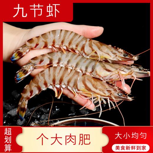 【海鲜】鲜活九节虾 250g/份 商品图0