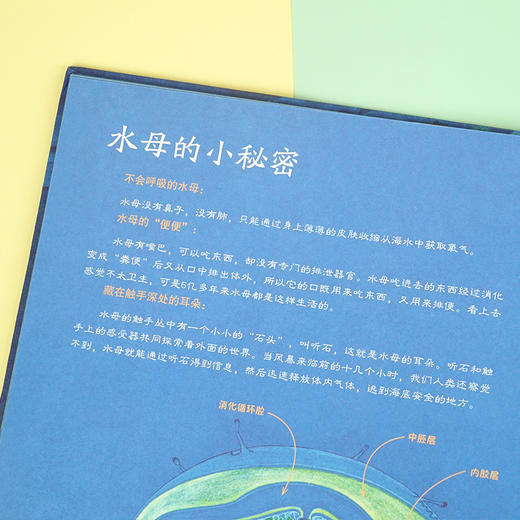 家门外的自然课系列——哇！水母 商品图2