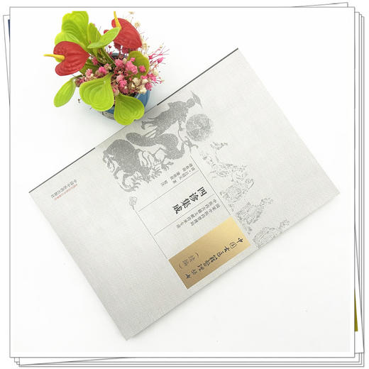 四诊集成（中国古医籍整理丛书）(清) 吕绍元 著 谭春雨 康欣欣 校注 中国中医药出版社 商品图1