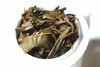 彩农茶·清客普洱丨2008秋布朗野放古茶（8克） 商品缩略图9