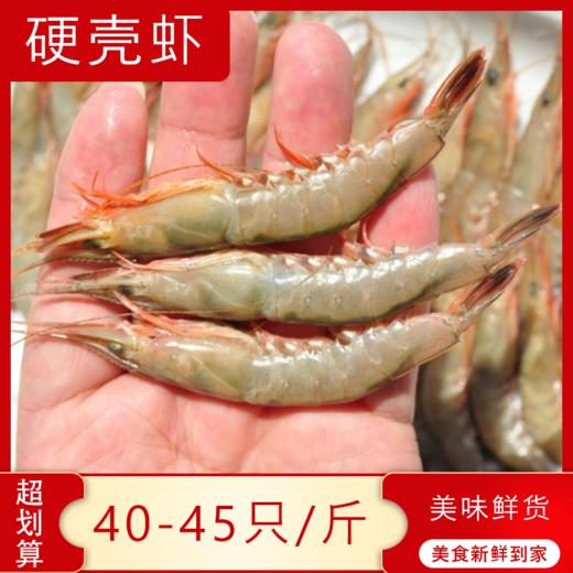 【海鲜】野生硬壳虾 约250g/份 商品图0