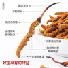 雷允上冻干冬虫夏草50g/盒（-32） 商品缩略图4