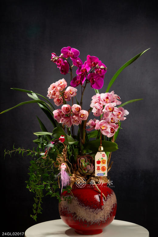 24GL02017 商品图0