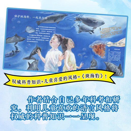 斑海豹 商品图3