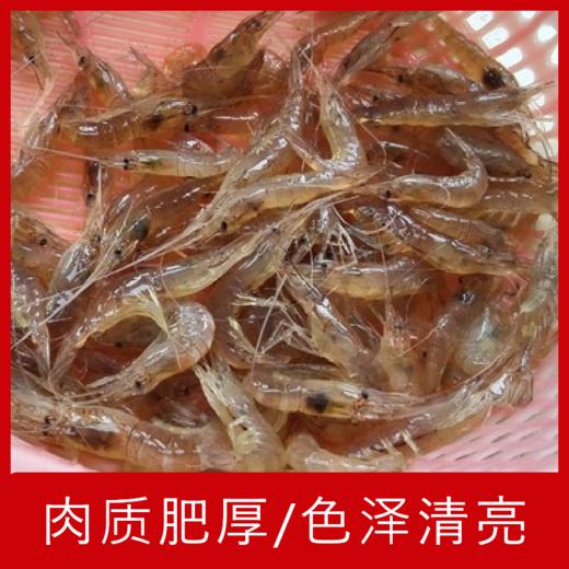 【海鲜】鲜活白虾 150g/份 商品图1