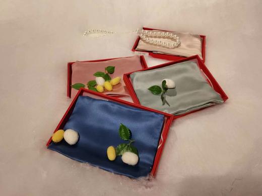 西施蚕娘真丝枕套 商品图3