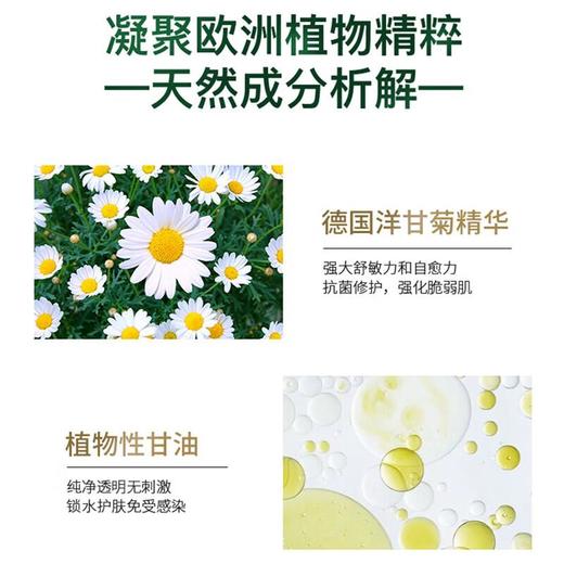 德国加素美 身体乳500ml 商品图2