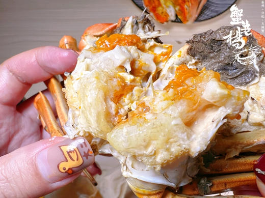 ✈️全国包邮到家  三代养蟹人——蟹老杨！冬天，也可以约蟹
春节档大闸蟹🦀️满黄满膏，年夜饭可以约！送    工具、姜茶、蟹醋、紫苏包！下单备注哪一天发货！！ 商品图3