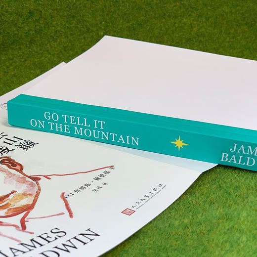 去山巅呼喊（《下一次将是烈火》詹姆斯·鲍德温处女作，用父子仇恨隐喻非裔美国人集体的挫败和愤怒） 商品图4