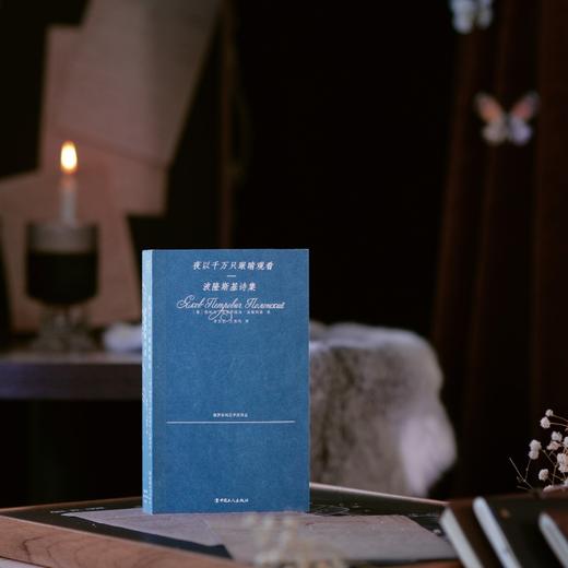 夜以千万只眼睛观看：波隆斯基诗集 商品图0