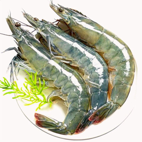 【鲜活】王中王大虾 青虾  一斤15只上下 （送货路上不保活）