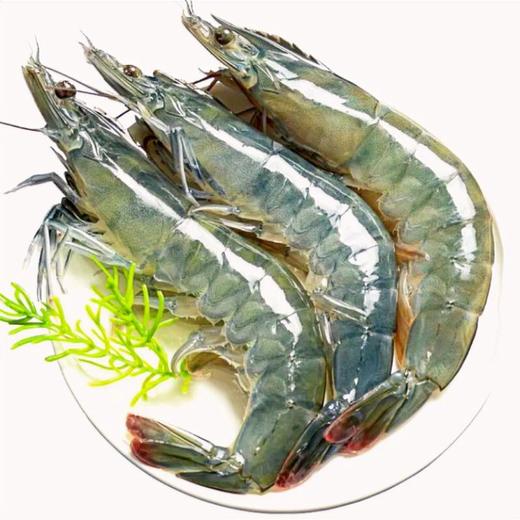 【鲜活】王中王大虾 青虾  一斤15只上下 （送货路上不保活） 商品图0