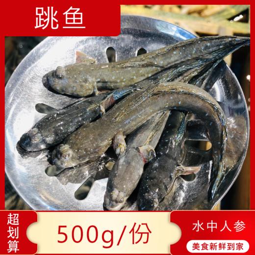 【海鲜】鲜活跳跳鱼 250g 商品图0