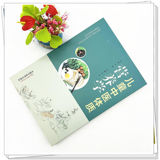 儿童中医体质营养学 王济 主编 中国中医药出版社 中医食疗学 家庭厨房 儿科 书籍 商品图1