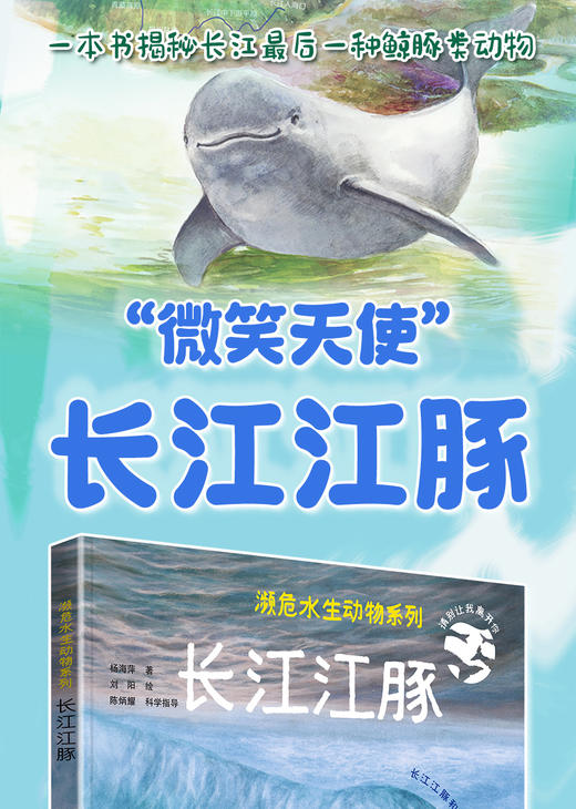 濒危水生动物系列——长江江豚 商品图1