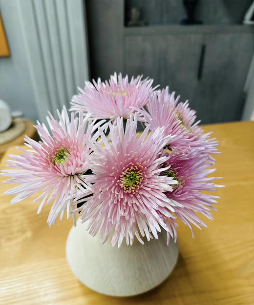 烟花菊~卡普瑞（奥利粉) 约10枝 商品图4