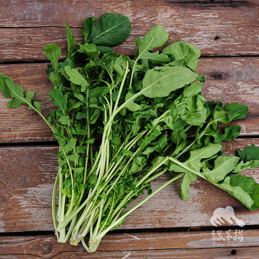 生态芝麻菜 | 绿家自产*ecological Miller | Self-production 商品图0