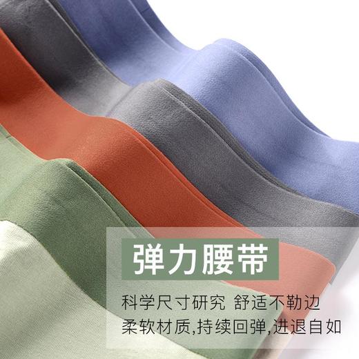 【48小时发货】新款纯棉内裤男士60s新疆长绒棉舒适中腰男生四角裤全棉平角裤男 商品图2