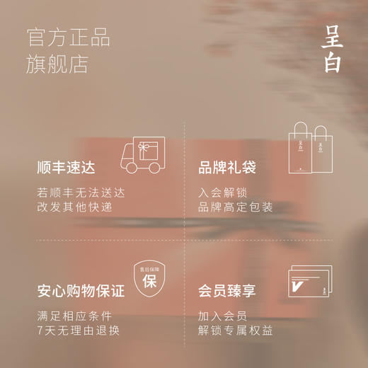 呈白瓷瓶花尊香插|随意摆养眼又好闻，福禄聚宝好运装回家 商品图4
