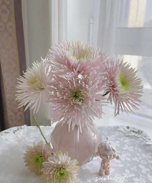 烟花菊~卡普瑞（奥利粉) 约10枝 商品图3