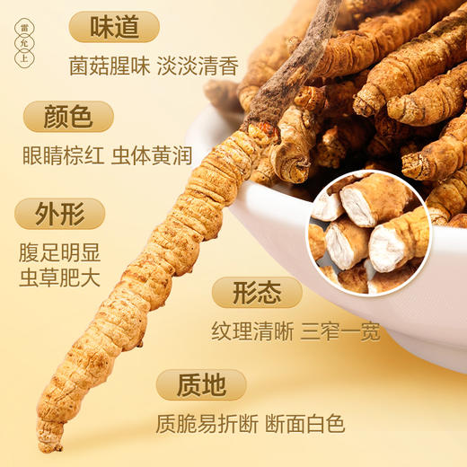 雷允上直营 | 西藏那曲冬虫夏草礼盒30g/盒（-40） 高端木盒 野山虫草 送礼佳品 商品图2