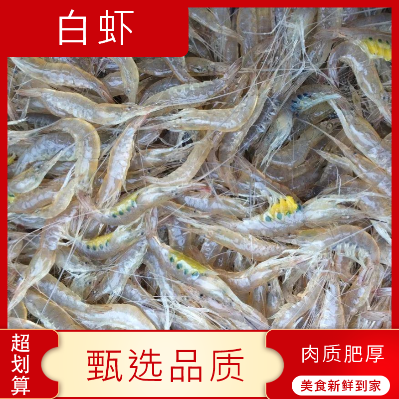 【海鲜】鲜活白虾 150g/份