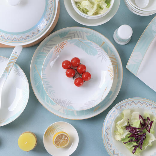 朵彩北欧丛林58头骨质瓷餐具DC-B5806T【HSZG20.0】 商品图1