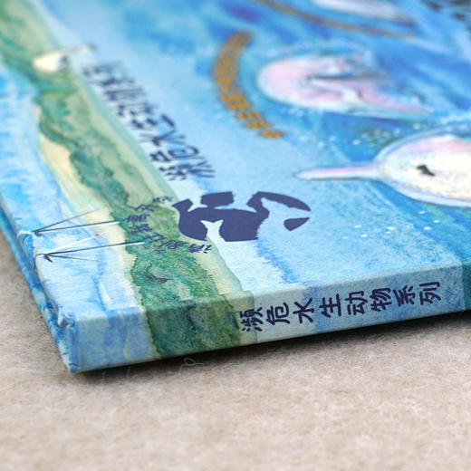 中华白海豚 商品图4