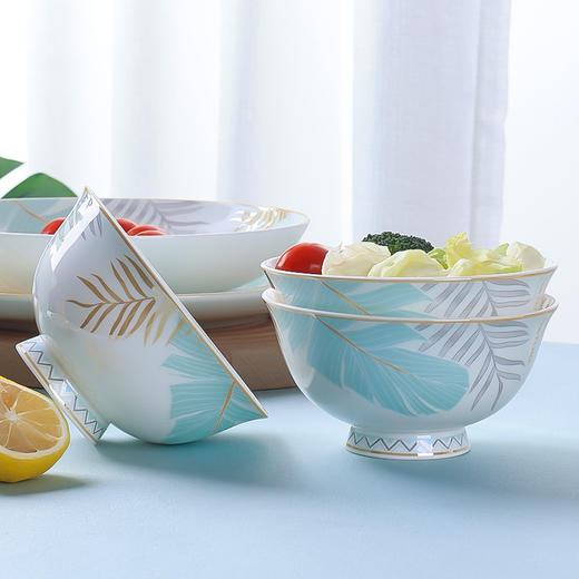 朵彩北欧丛林58头骨质瓷餐具DC-B5806T【HSZG20.0】 商品图2