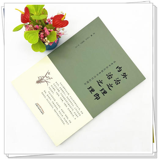 外治之理即内治之理 王玲玲 葛瑞彩 李公明 主编 中国中医药出版社 商品图1