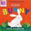 【中商原版】镂空书 小兔子 Petr Horácek Little Bunny 英文原版进口 低幼儿童纸板书 亲子绘本 故事图画书 进口童书2-5岁 商品缩略图0