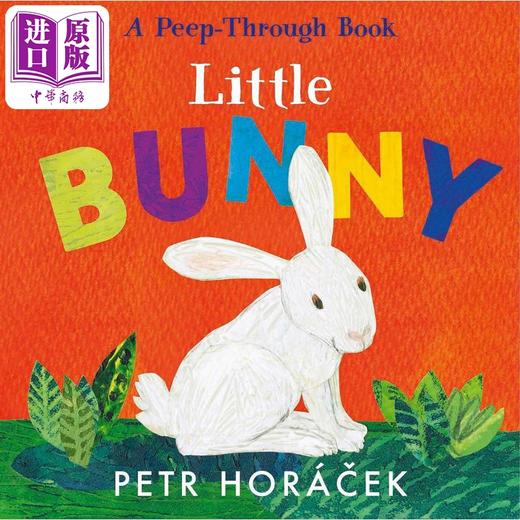 【中商原版】镂空书 小兔子 Petr Horácek Little Bunny 英文原版进口 低幼儿童纸板书 亲子绘本 故事图画书 进口童书2-5岁 商品图0