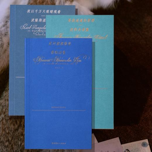 星河摇摇欲坠：费特诗集 商品图3