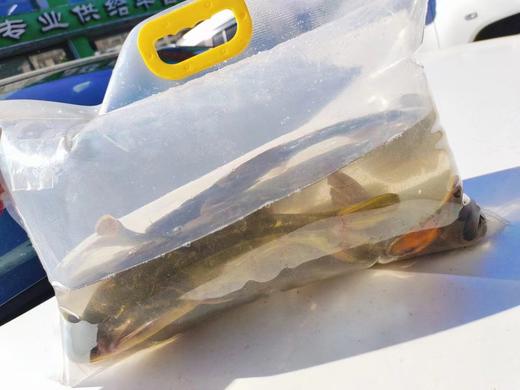 牛Yi巴子三斤 商品图0