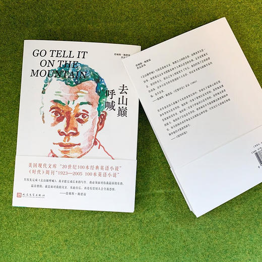 去山巅呼喊（《下一次将是烈火》詹姆斯·鲍德温处女作，用父子仇恨隐喻非裔美国人集体的挫败和愤怒） 商品图2