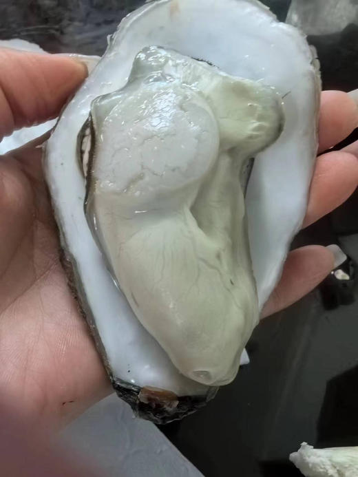 乳山一级鲜活生蚝，3+4+蒸5-7分钟口感最佳，口感鲜甜，约3斤/箱 商品图2