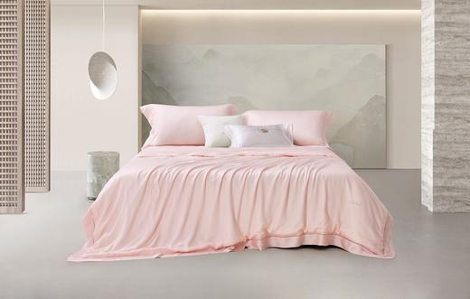 罗莱 粹 超柔无边川山蜀丝夏被 商品图1