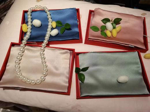 西施蚕娘真丝枕套 商品图0