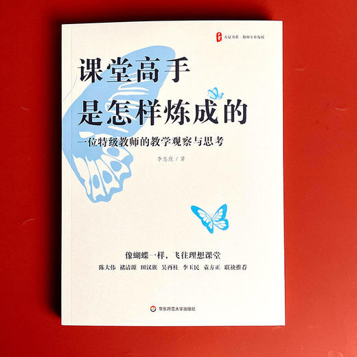 课堂高手是怎样炼成的 一位特级教师的教学观察与思考 大夏书系 商品图1