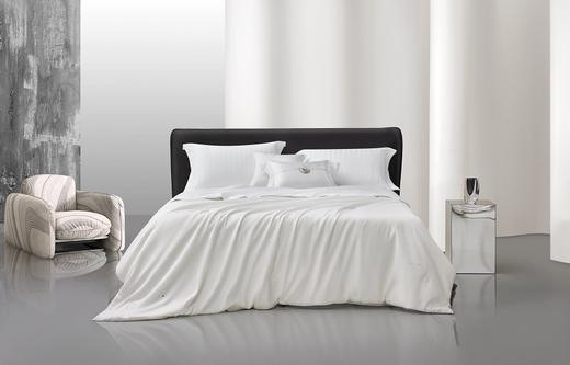 罗莱 开运桑蚕丝被 商品图0