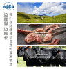 肉鲜森澳洲谷饲牛肋条200G*3 商品缩略图2