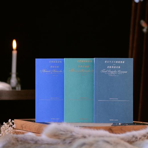 夜以千万只眼睛观看：波隆斯基诗集 商品图3