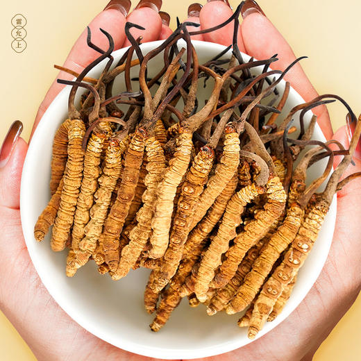 雷允上西藏甲级冬虫夏草50g/盒（-40） 商品图2