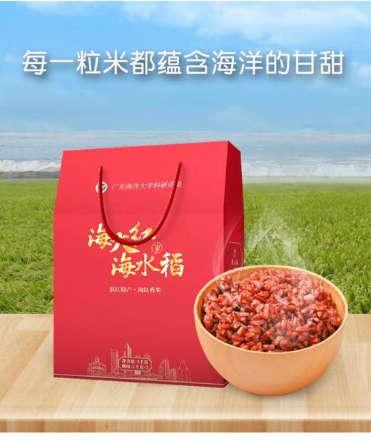 海大红  海水稻·海红香米 商品图10