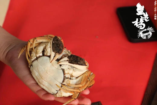 ✈️全国包邮到家  三代养蟹人——蟹老杨！冬天，也可以约蟹
春节档大闸蟹🦀️满黄满膏，年夜饭可以约！送    工具、姜茶、蟹醋、紫苏包！下单备注哪一天发货！！ 商品图4